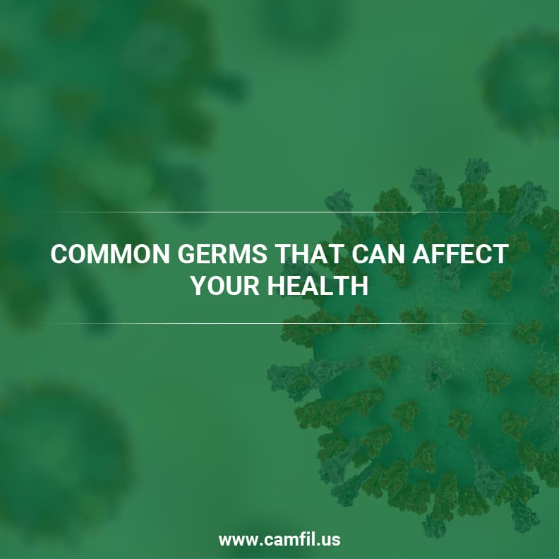 The Most Common Germs That Can Affect Your Health