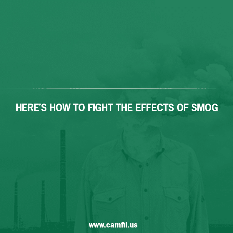 Here's How to Fight the Effects of Smog