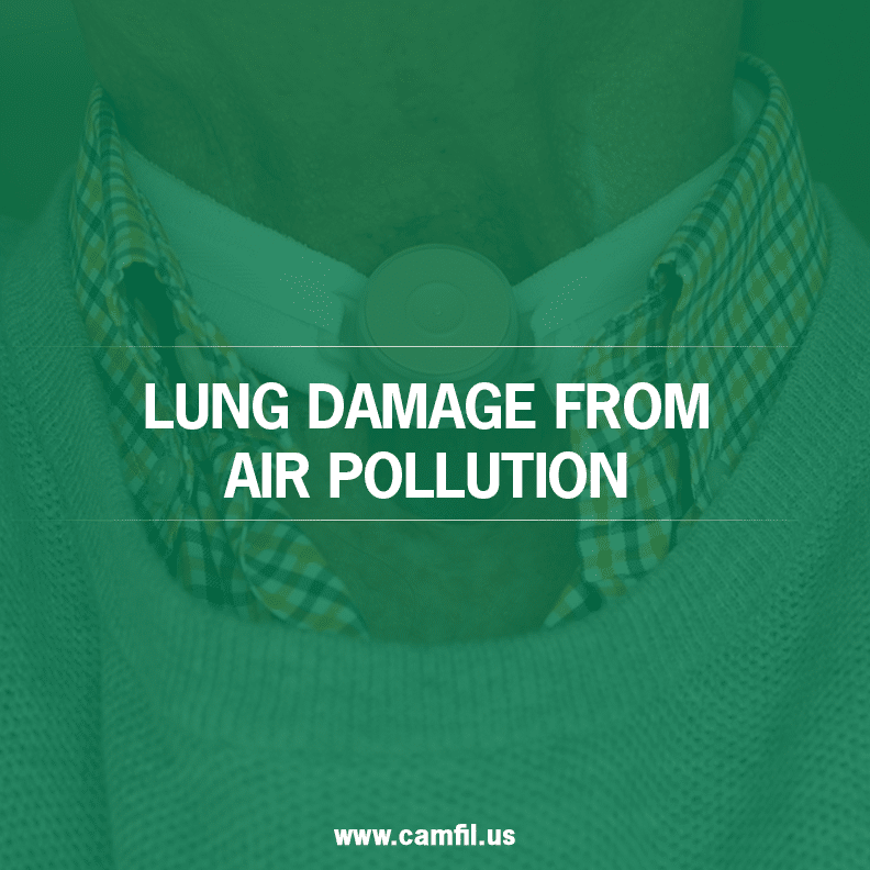 Learn How to Protect Yourself from Lung Damage from Air Pollution