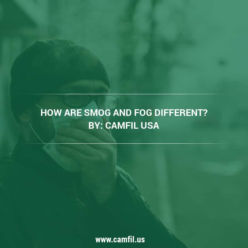 What is Smog and What Can Commercial Air Filtration Systems Do Against It? - Camfil USA