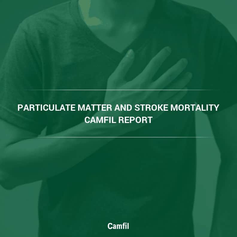Air Pollution & Elevated Risk of Stroke: Size of Ambient Particulate Matter Tied to Stroke Deaths in 2022 Study
