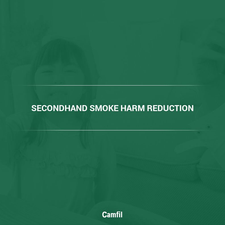 Smoking Bans vs Air Filtration Systems for Secondhand Smoke Harm Reduction — Which Is More Effective