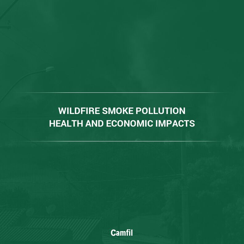New Study Highlights Tangible Health and Economic Impacts of Wildfire Smoke Pollution