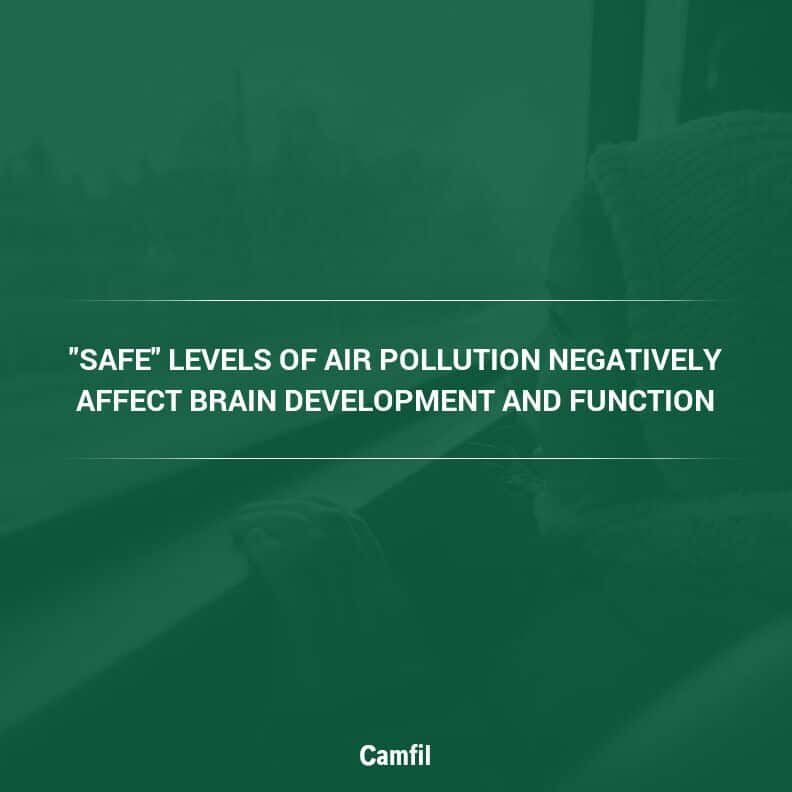 “Safe” Levels of Air Pollution Negatively Affect Brain Development and Function, According to 2023 Studies