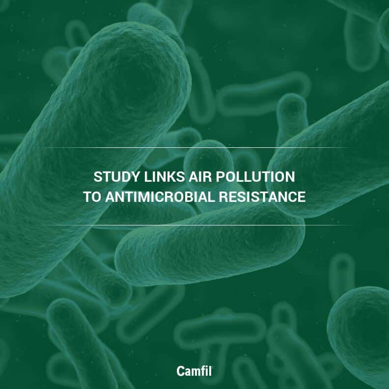 Increases in Antibiotic Resistance May Be Related to Air Pollution, According to New Study