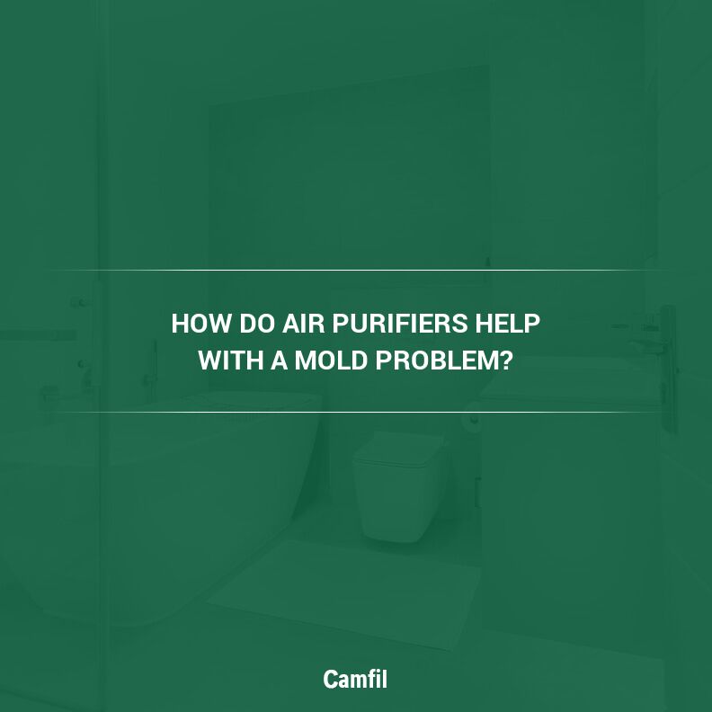 How to Prevent Mold Growth In Your Bathroom with an Air Purifier