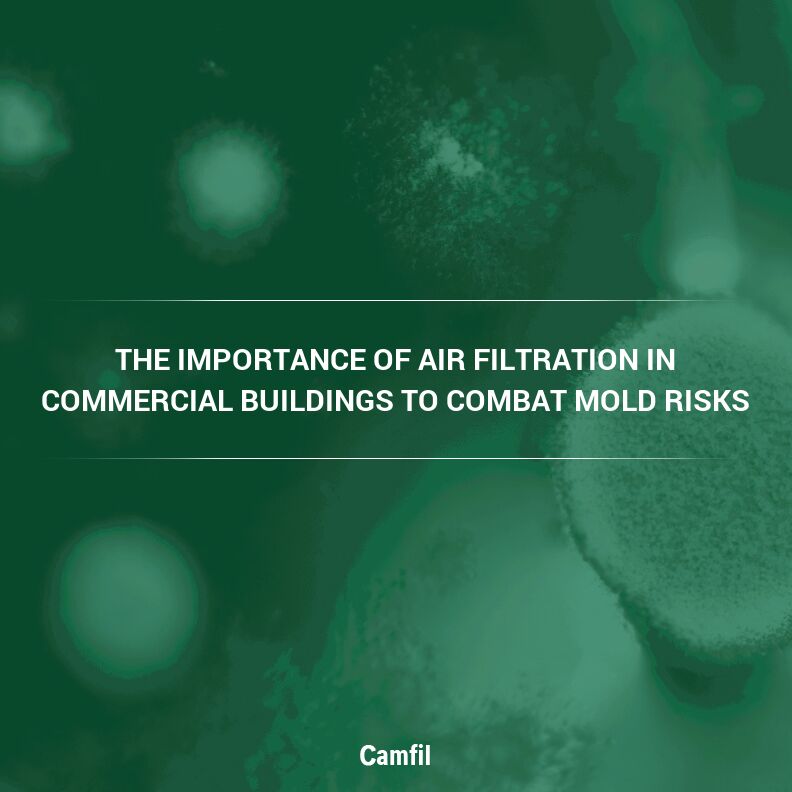 The Importance of Air Filtration in Commercial Buildings to Combat Mold Risks